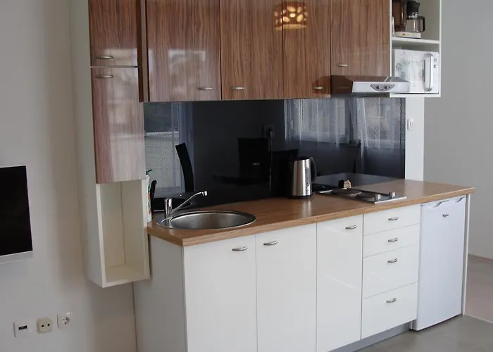 Gostinjska kuća Dragic - Anex